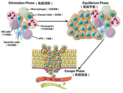 人为什么会患癌症